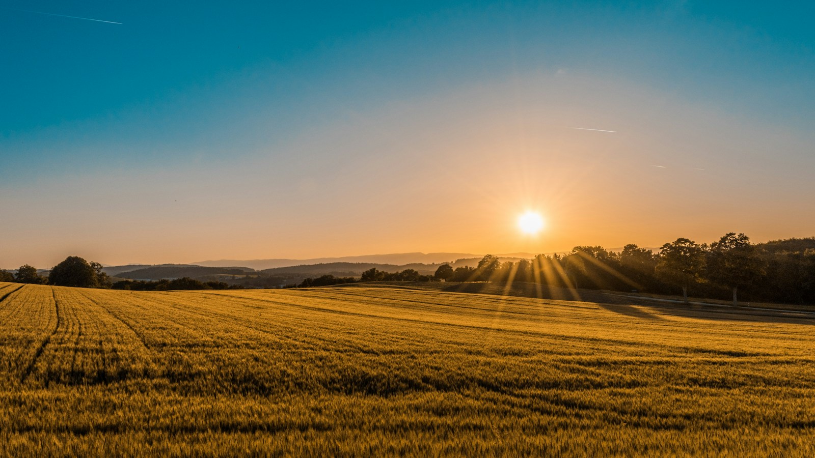 Campos cultivados ao pôr do sol